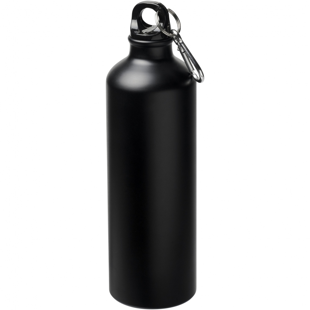 Logotrade promotional merchandise image of: Oregon 770 ml matte water bottle with carabiner