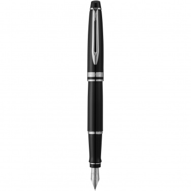 Logotrade promotional giveaway image of: Waterman Expert fountain pen