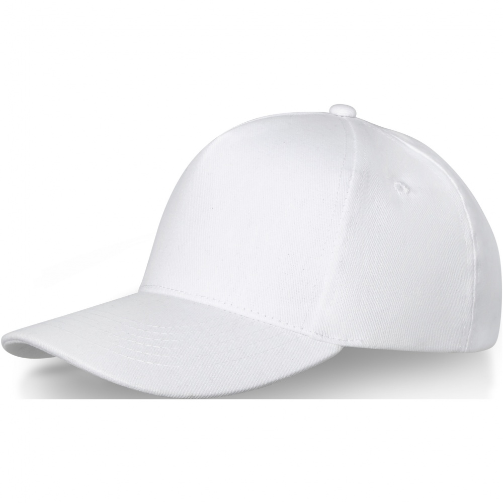 Logotrade promotional item picture of: Doyle 5 panel cap