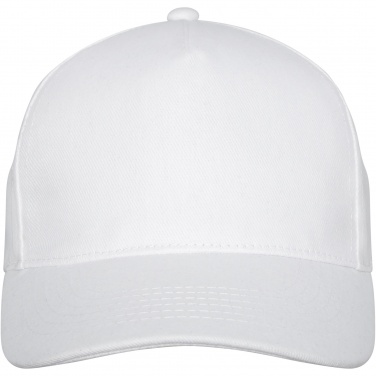 Logo trade promotional products picture of: Doyle 5 panel cap