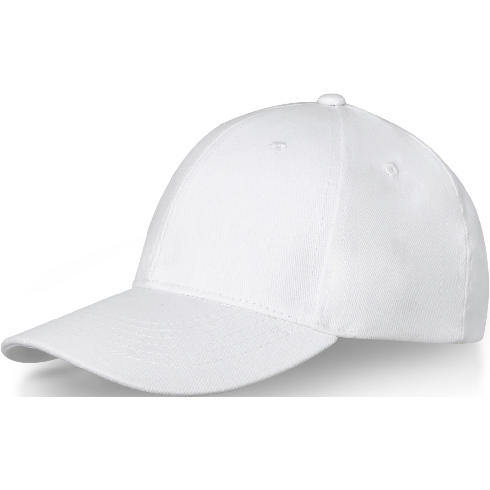 Logo trade corporate gifts image of: Davis 6 panel cap