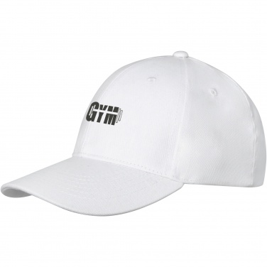 Logo trade promotional merchandise image of: Davis 6 panel cap