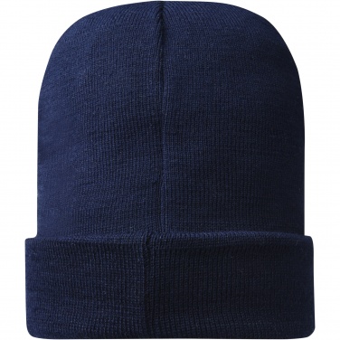 Logotrade promotional items photo of: Hale Polylana® beanie