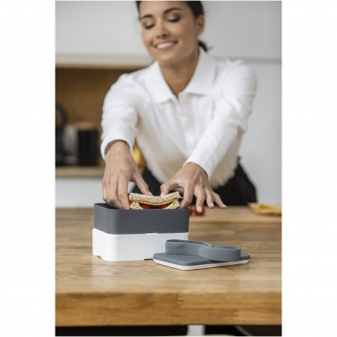 Logotrade promotional merchandise image of: MIYO double layer lunch box