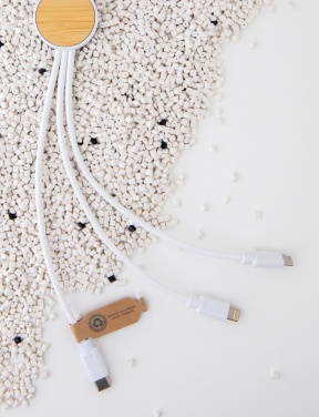 Logotrade corporate gift picture of: RCS recycled plastic Ontario 6-in-1 cable