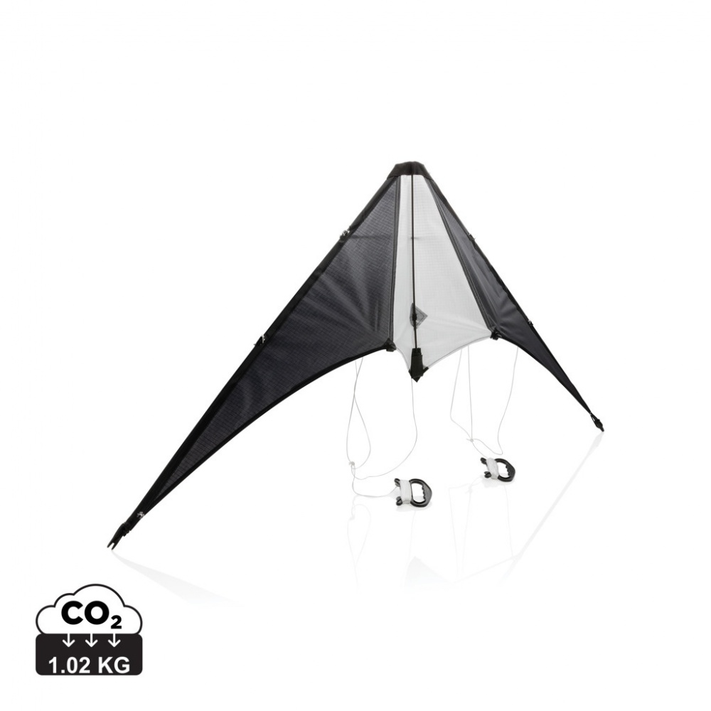 Logotrade promotional gift image of: Delta kite