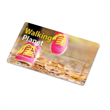 Logo trade promotional merchandise image of: Creditcard. USB flash 16GB