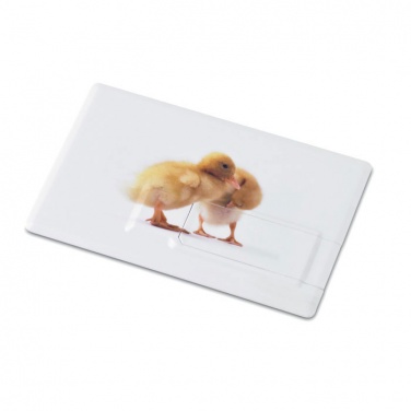 Logo trade promotional items picture of: Creditcard. USB flash 32GB