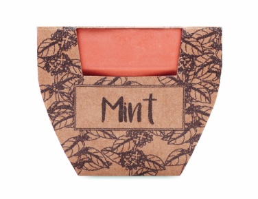 Logotrade business gifts photo of: Terracotta pot mint seeds