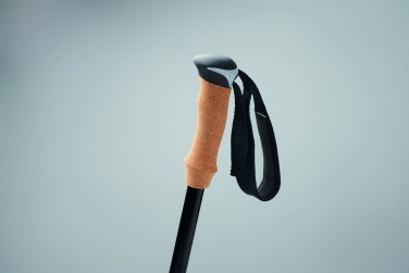 Logotrade corporate gift picture of: Nordic walking poles