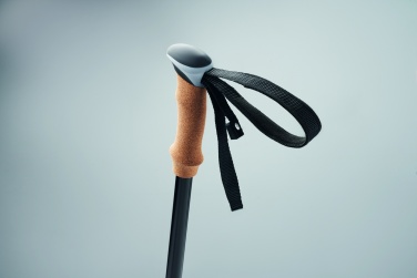 Logotrade business gifts photo of: Nordic walking poles