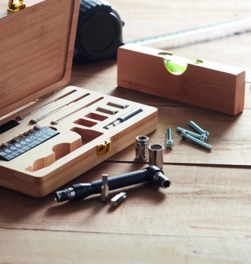 Logo trade promotional merchandise image of: 21 pcs tool set in bamboo case