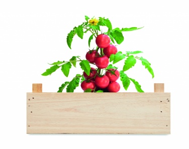 Logo trade promotional products image of: Tomato kit in wooden crate
