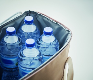Logo trade corporate gift photo of: Large cooler bag canvas 450gr/m