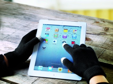 Logotrade promotional gifts photo of: Tactile gloves for smartphones
