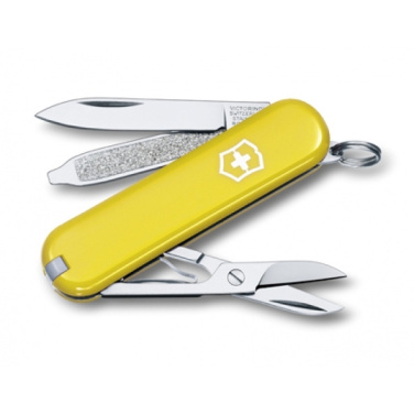 Logotrade promotional merchandise photo of: Pocket knife CLASSIC SD Victorinox
