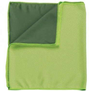 Logotrade corporate gifts photo of: Towel LANAO Schwarzwolf