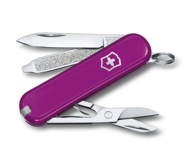 Logotrade promotional giveaway image of: Pocket knife CLASSIC SD Victorinox