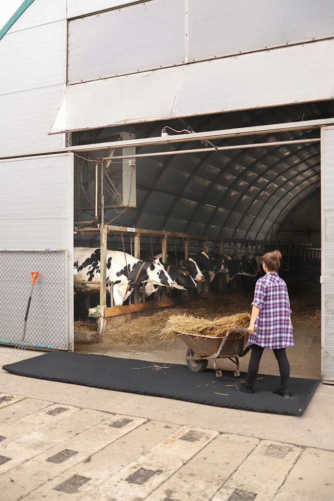 Logo trade business gift photo of: Transit disinfection mat 120x300x4cm 1384087