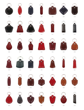 Logotrade promotional merchandise picture of: Keyring 178011