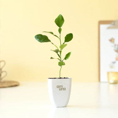 Logo trade promotional giveaways image of: Treemore Letterbox Trees Kaffir Lemon