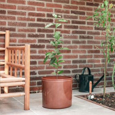 Logotrade promotional merchandise image of: Treemore Letterbox Trees Tea plant