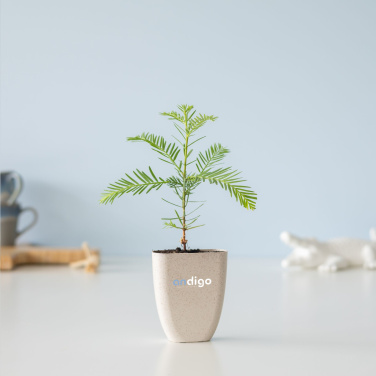 Logotrade promotional product image of: Treemore Letterbox Trees Giant Sequoia