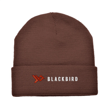 Logotrade promotional merchandise image of: Antarctica hat