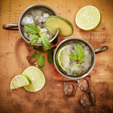 Logotrade advertising product image of: IsoMug 300 ml