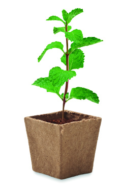Logo trade advertising product photo of: Mint seeds growing kit