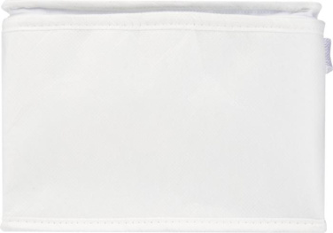 Logotrade promotional product image of: Spectrum 6-can recycled non-woven cooler bag 4L