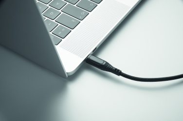 Logo trade promotional gifts image of: 100W charging cable type-C