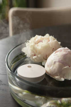 Logo trade advertising products picture of: Breevia RCS rplasic re-chargeable floating humidifier