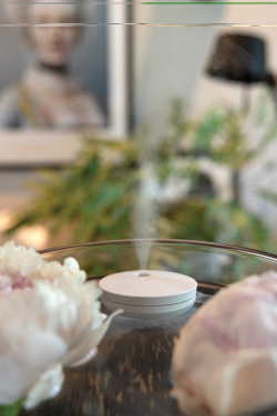 Logo trade advertising products image of: Breevia RCS rplasic re-chargeable floating humidifier