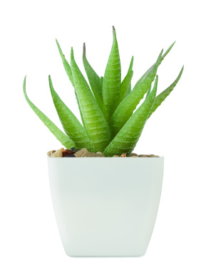 Logotrade promotional items photo of: Mini artificial plant