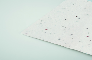 Logo trade promotional items image of: Wildflower seed business card.
