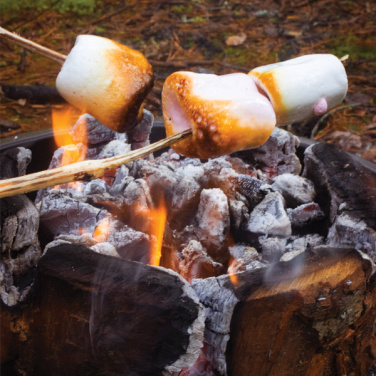 Logotrade promotional product picture of: Eco Grill L