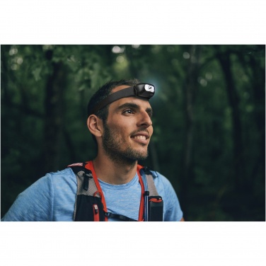 Logo trade firmakingi pilt: Ray laetav esituli