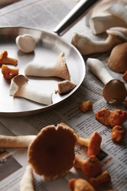 Logo trade firmakingituse pilt: VINGA Vici välipann