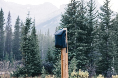 Logotrade reklaamtooted pilt: Swiss Peak Fern AWARE™ RPET 15,6-tolline tõmblukuga seljakott