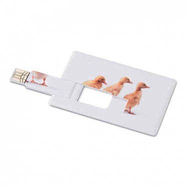 Logo trade ärikingi pilt: Krediitkaart. USB-välkmälu 4 GB