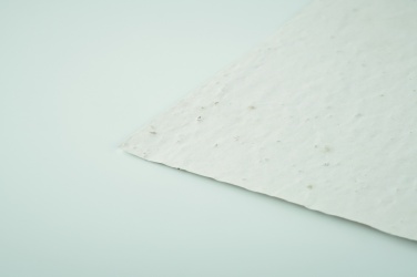 Logo trade reklaamkingid foto: A6 metsalilleseemne paberileht