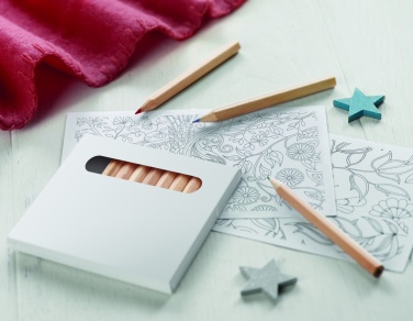 Logo trade firmakingituse pilt: Värvipliiatsite komplekt