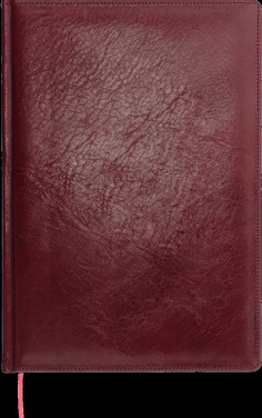 Logo trade reklaamkingituse pilt: Kalendermärkmik 642131