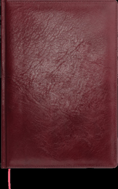 Logotrade firmakingitused pilt: Kalendermärkmik 645131