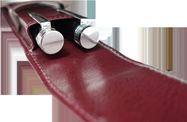 Logotrade reklaamkingituse foto: Pastapliiatsi vutlar 236019