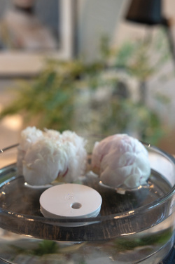 Logotrade reklaamkingitused pilt: Breevia RCS plastikust laetav ujuv õhuniisutaja