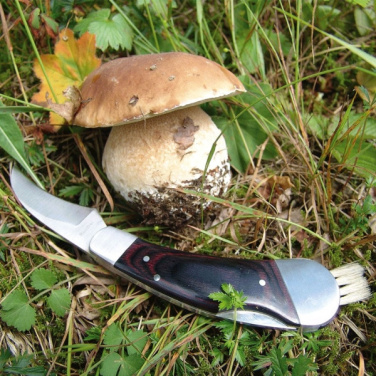 Logotrade mainostuotet kuva: Sieniveitsi PILZ Schwarzwolf