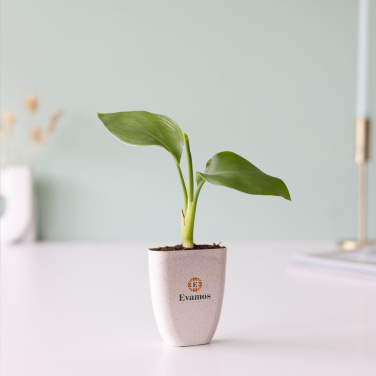 Logo trade liikelahjat mainoslahjat kuva: Treemore Letterbox Trees Bird of Paradise -kasvi