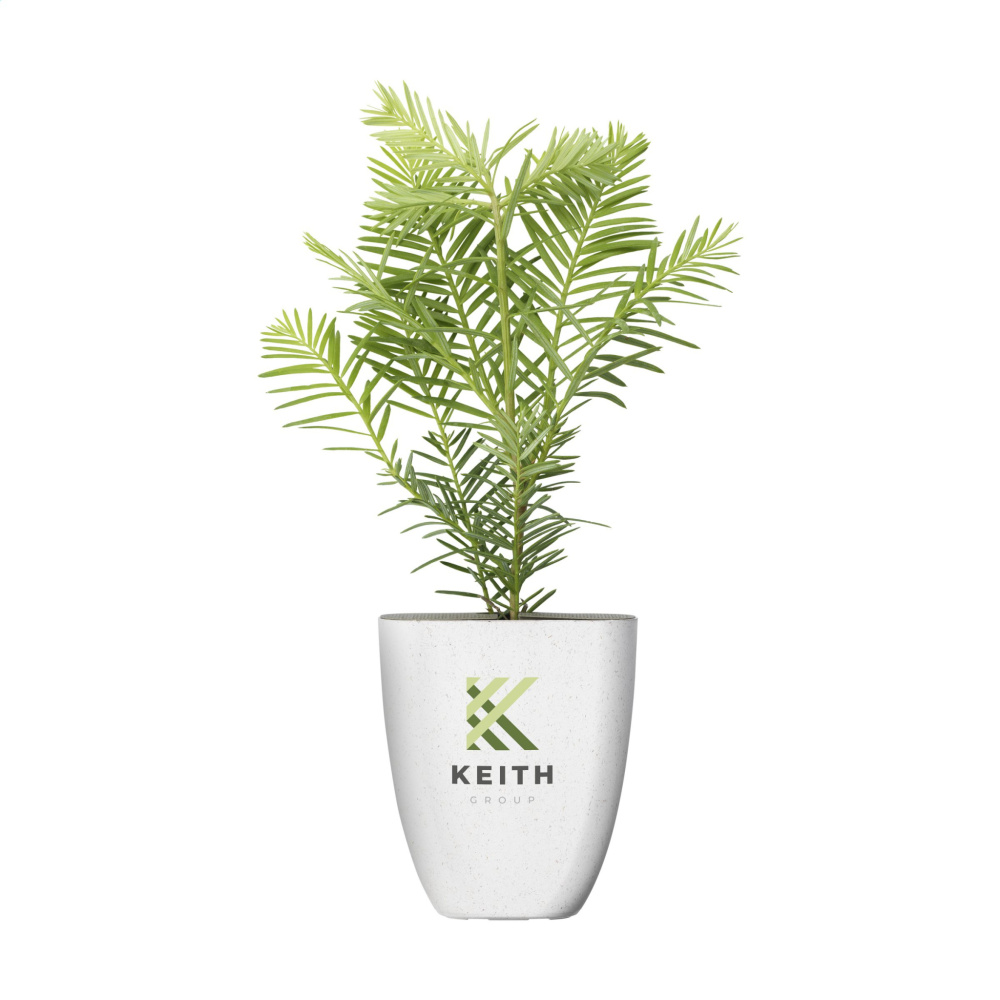 Logo trade liikelahjat tuotekuva: Treemore Letterbox Trees Giant Sequoia